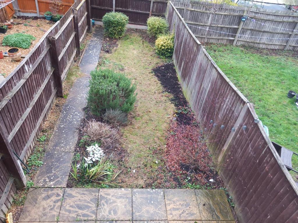 Garden.jpg
