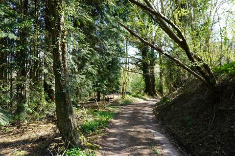 undefined, Craig Farm Wood, Ross-on-Wye, Herefordshire HR9