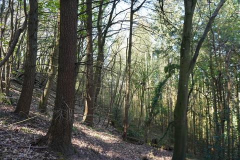 undefined, Craig Farm Wood, Ross-on-Wye, Herefordshire HR9