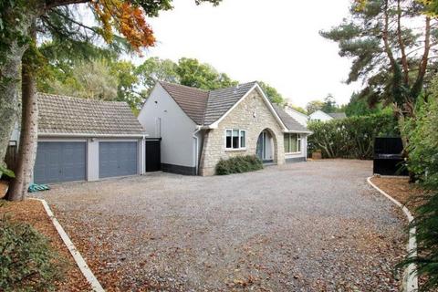3 bedroom detached bungalow for sale, Hurn Lane, Ringwood, BH24 2AQ