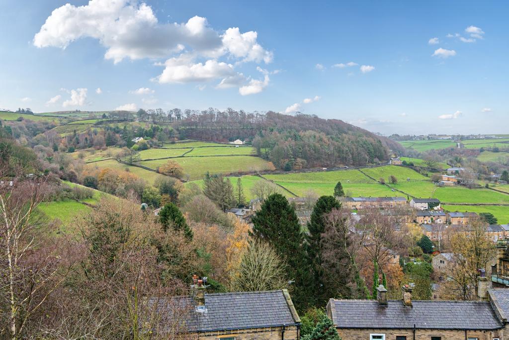 View from rear of property