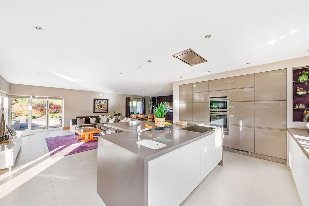 Living dining kitchen