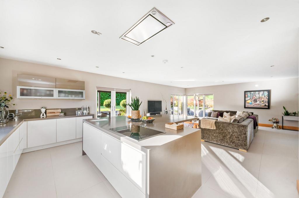 Living dining kitchen