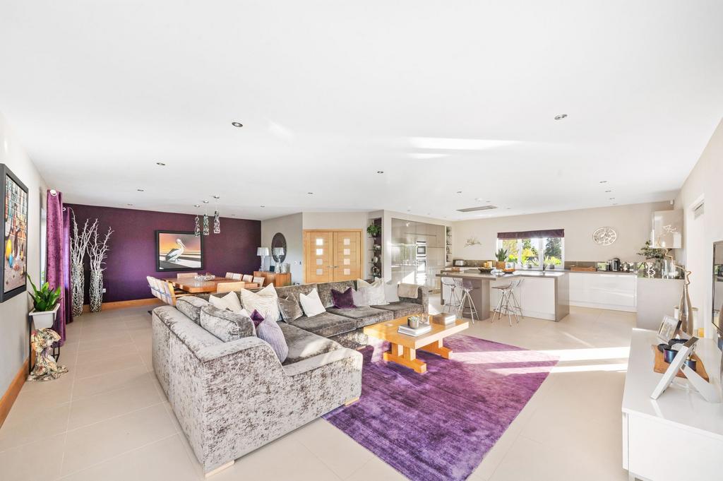 Living dining kitchen
