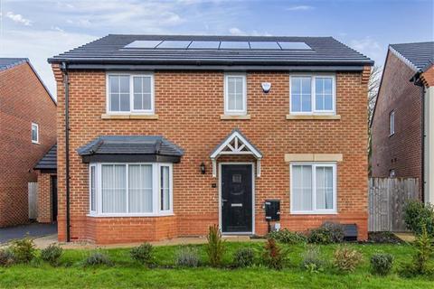 undefined, Preston PR4