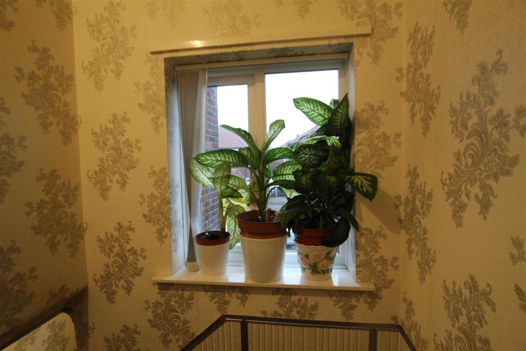 Img 4637.jpg
