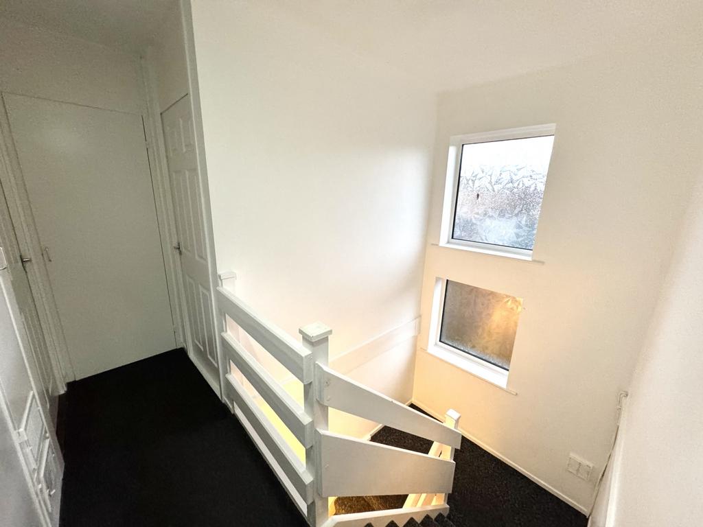 Img 1271