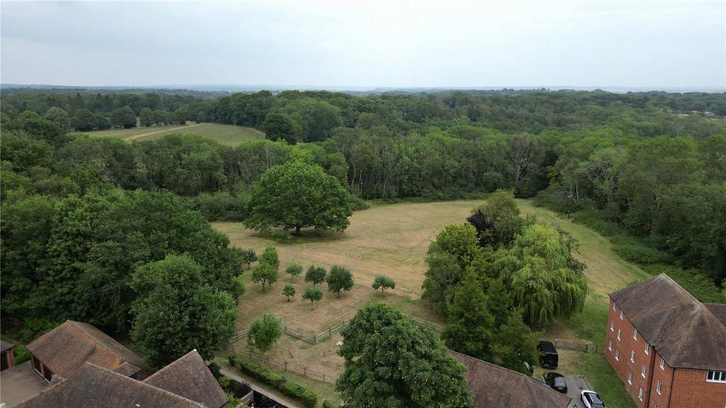 Ariel View