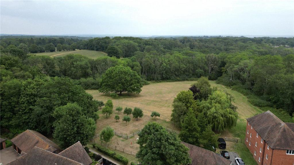Ariel View