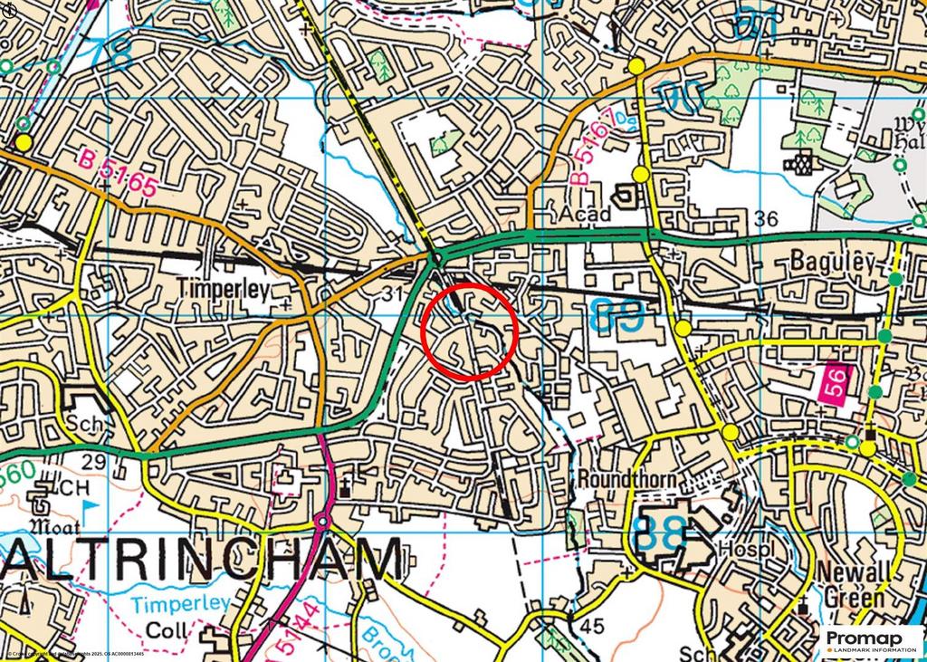 Town Plan