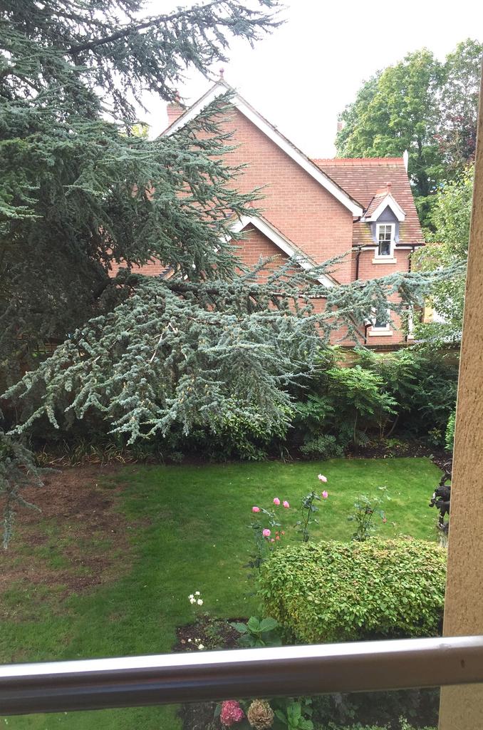 Communal Garden