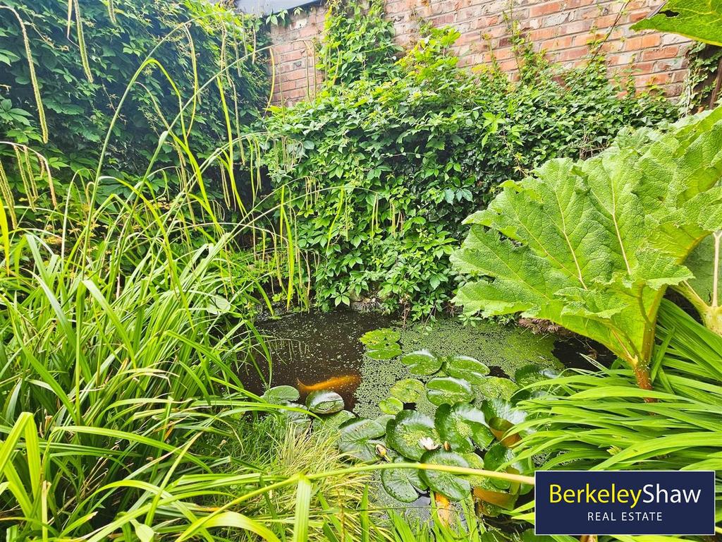 Fish Pond