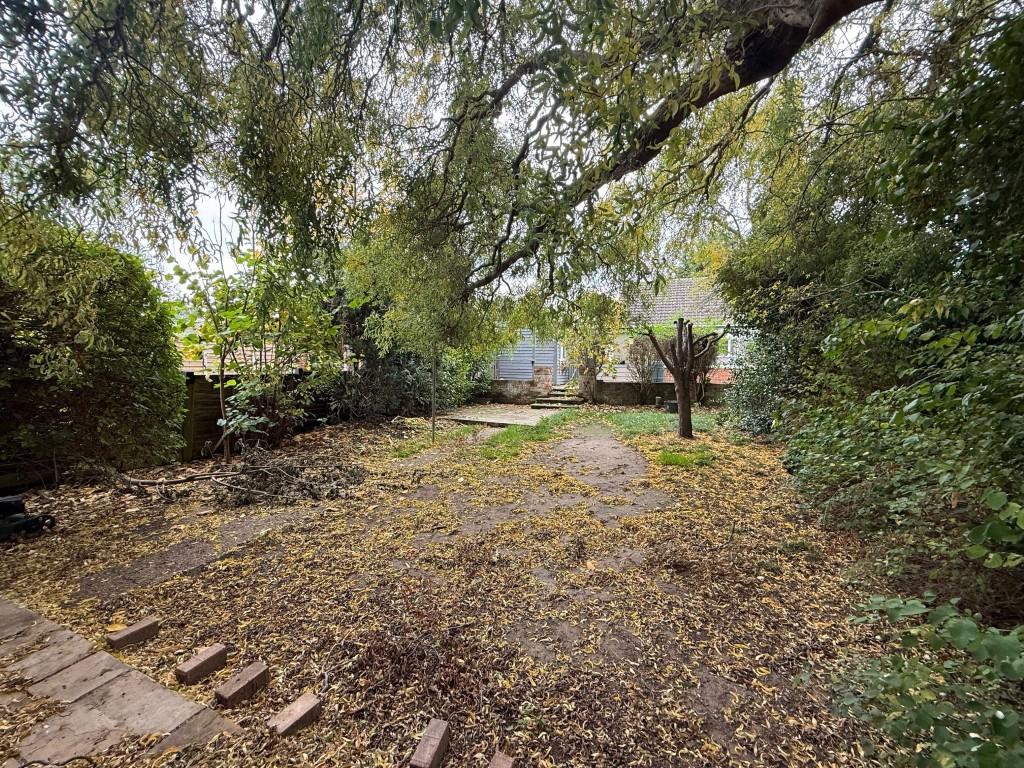 Outside 4 Medium T202511061138.jpg