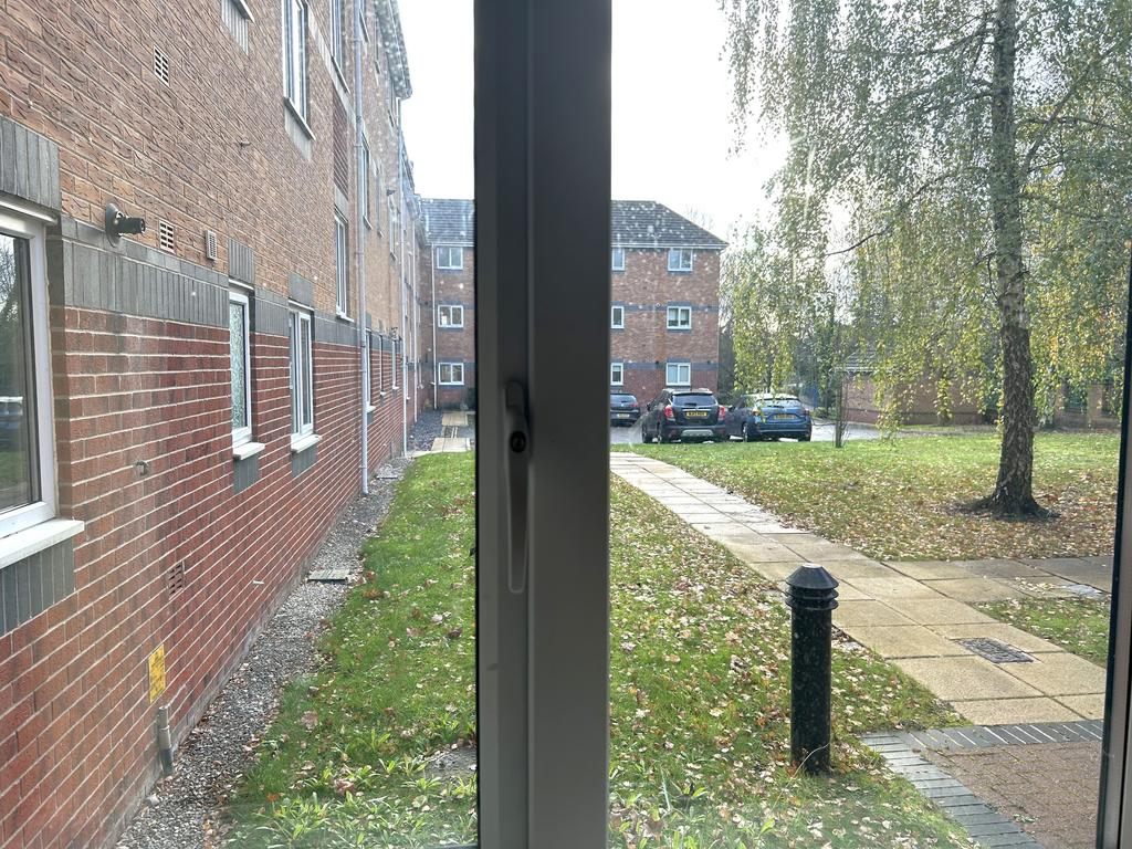 Image00010.jpeg