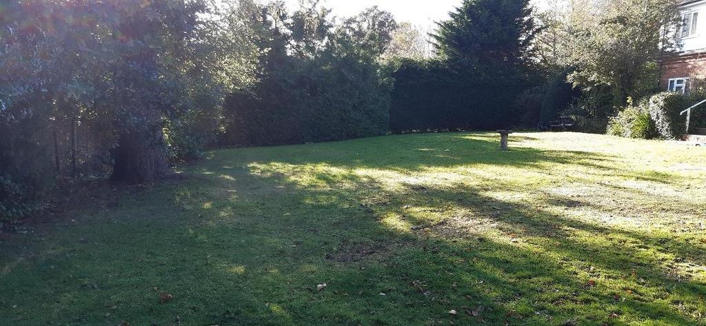 Rear Garden.jpg
