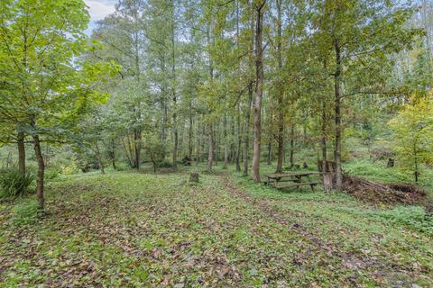 undefined, Cone Valley, Woolaston