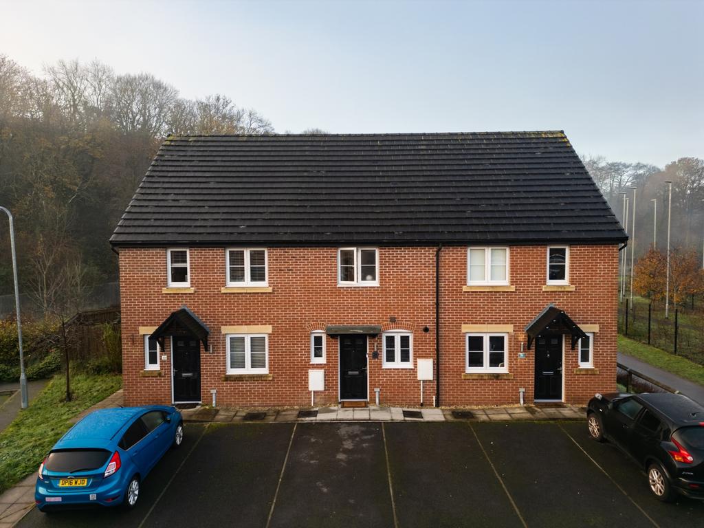 Hoelion Grove-1