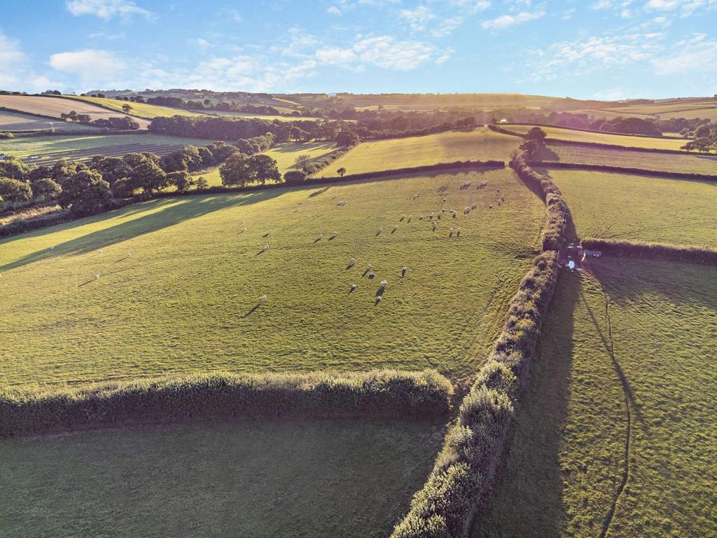 Surrounding Fields