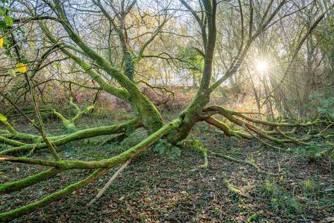 Land for sale, Land west of Bridge Lane, Bishops Nympton
