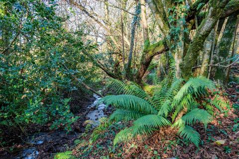 Land for sale, Land west of Bridge Lane, Bishops Nympton