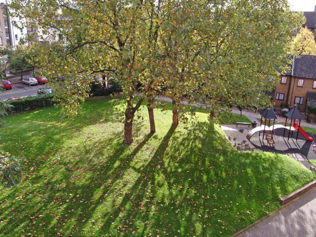 Communal Grounds