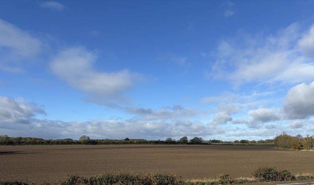Poppy field view image