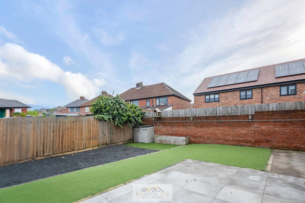 Back garden 1.1