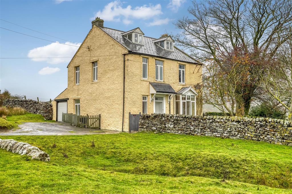 DSC07790.jpg