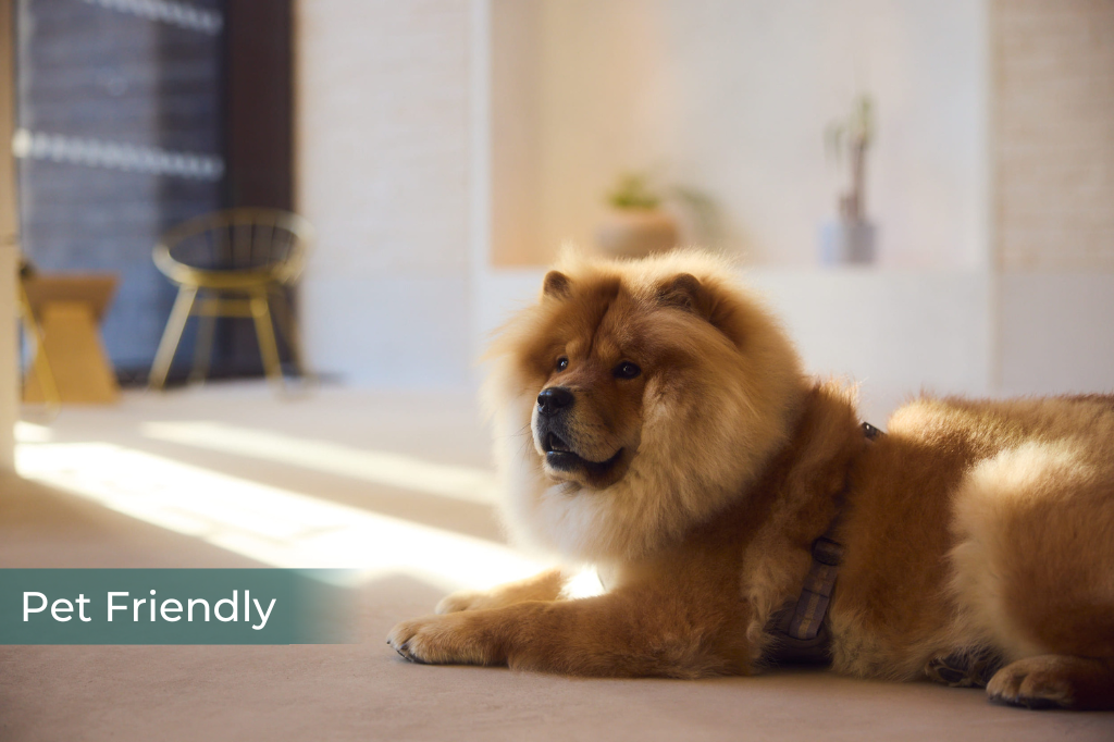 Ae0965b5cd45a72eaaef4564db62