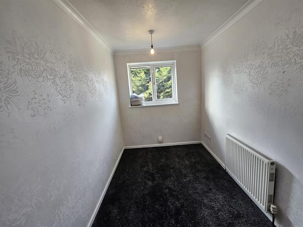 15 grebe close 7.jpg