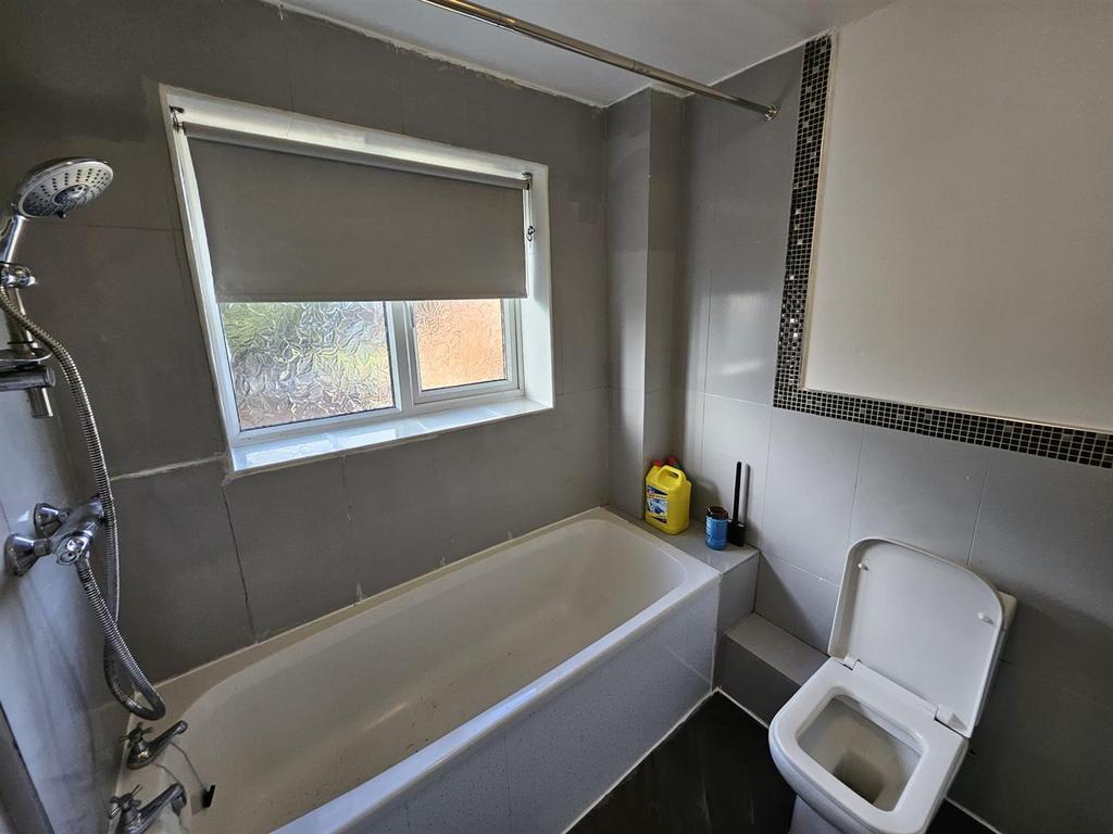 15 grebe close 12.jpg