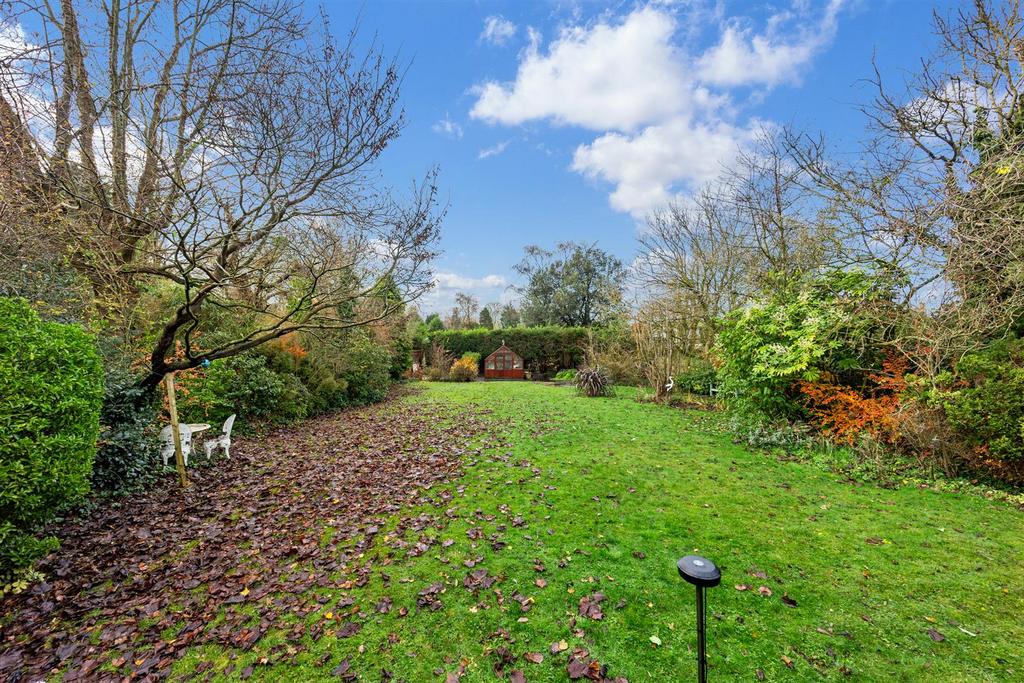 37 Ormskirk Road garden.jpg