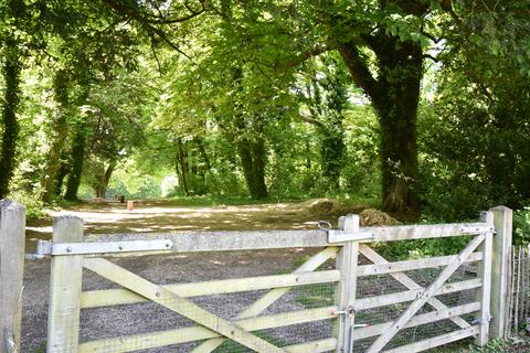 undefined, Langbourne, Blandford Forum, Dorset, DT11
