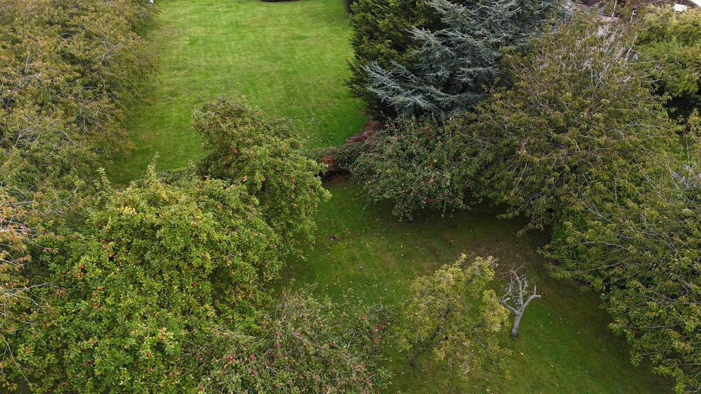 Dji fly 20250918 094330 0382 1758185222776 photo.j