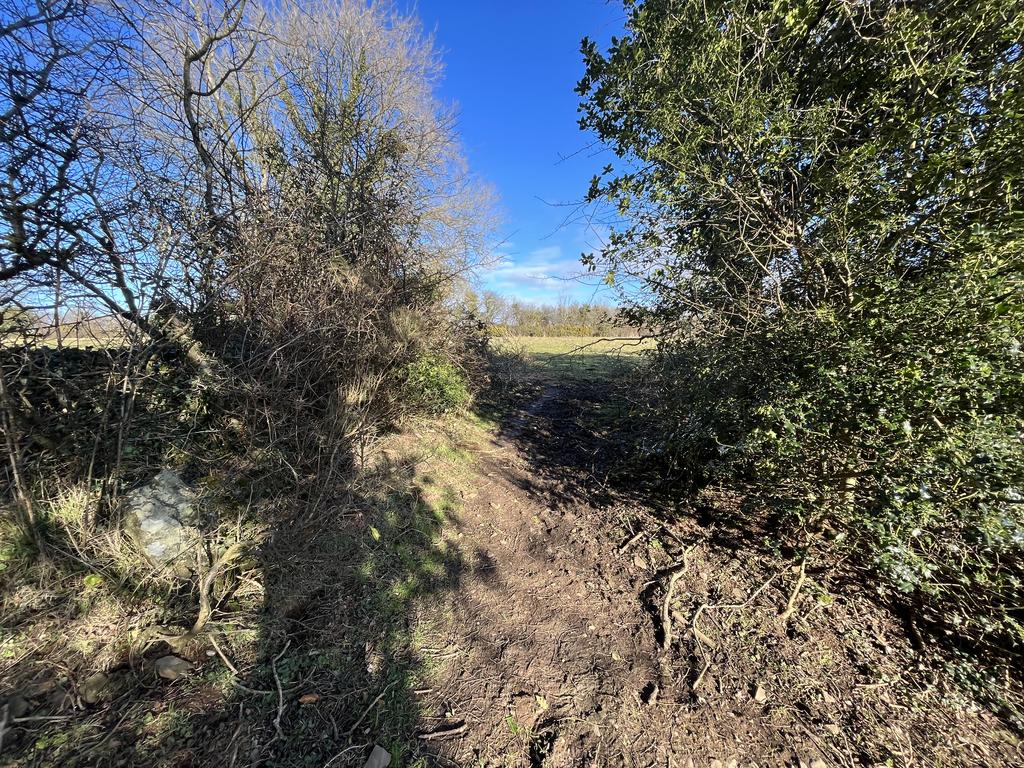 The Land