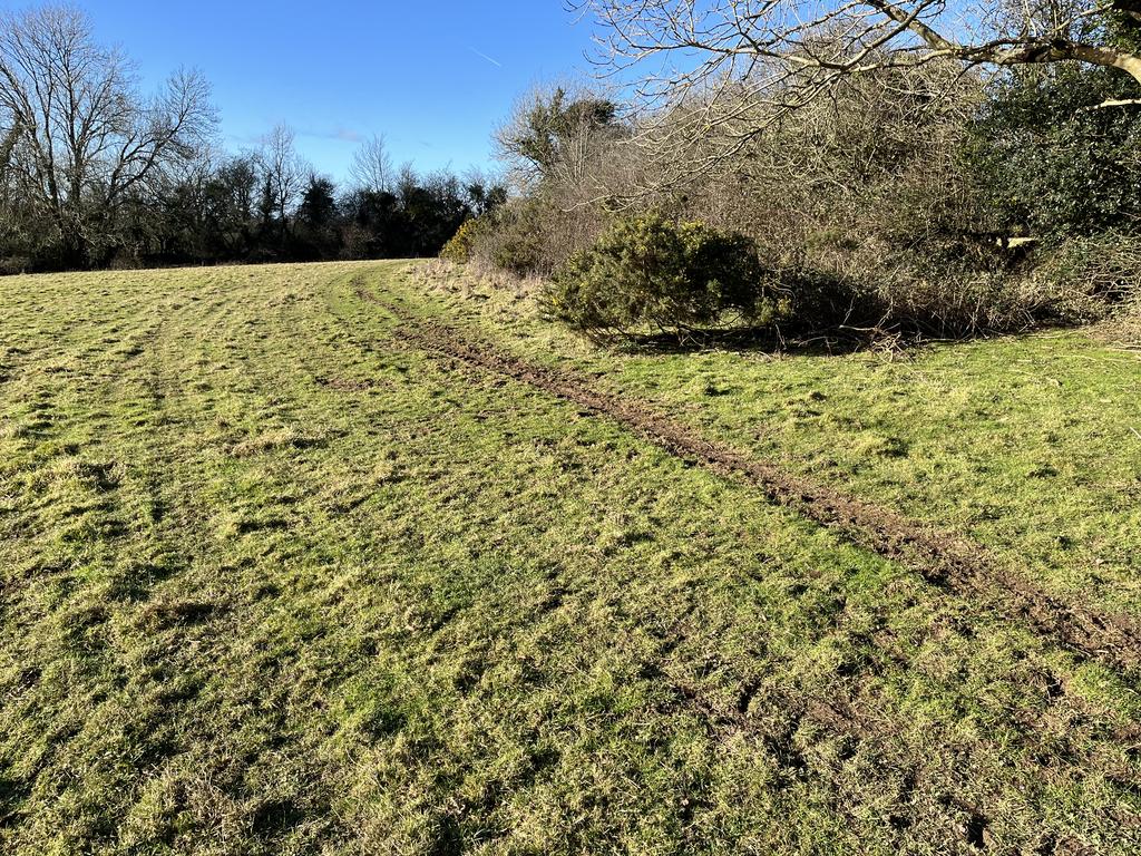 The Land