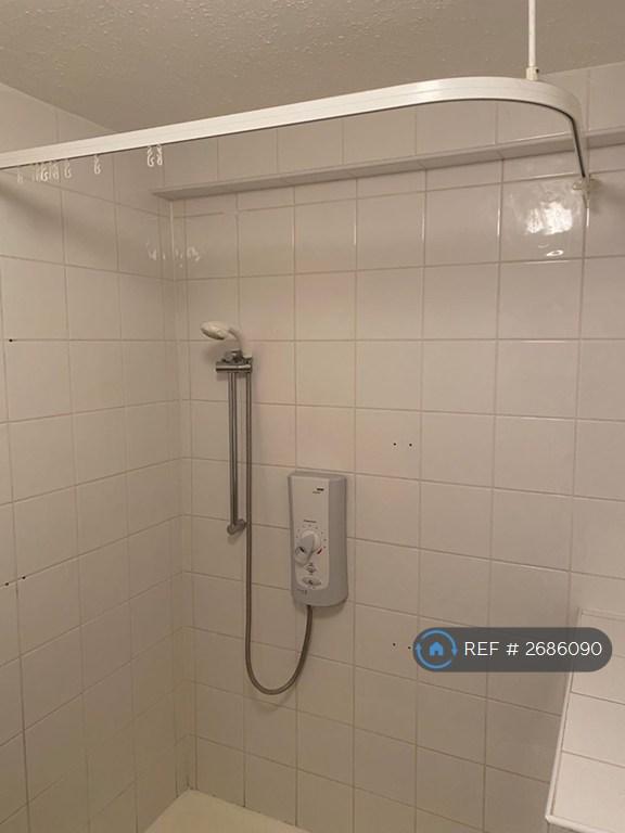 Electric Shower