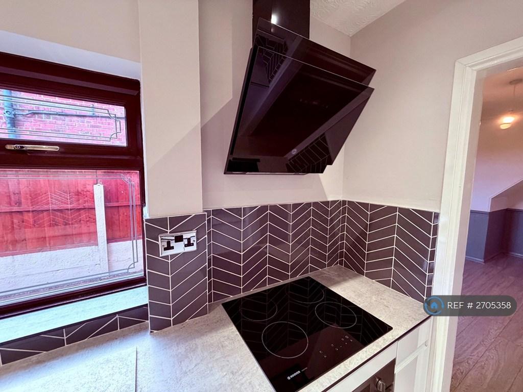 Induction Hob &amp; Extractor