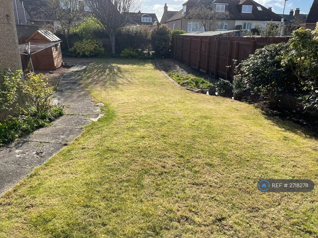 Garden From House