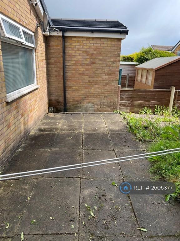 Back Garden