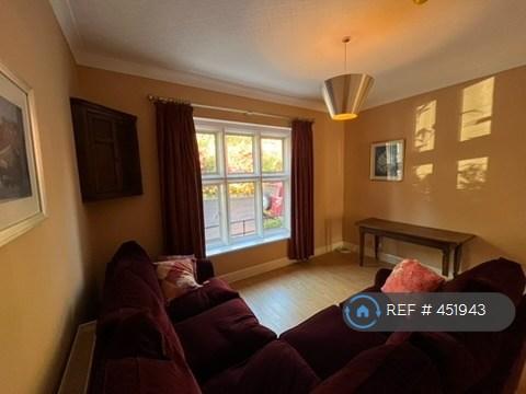 Tv Room