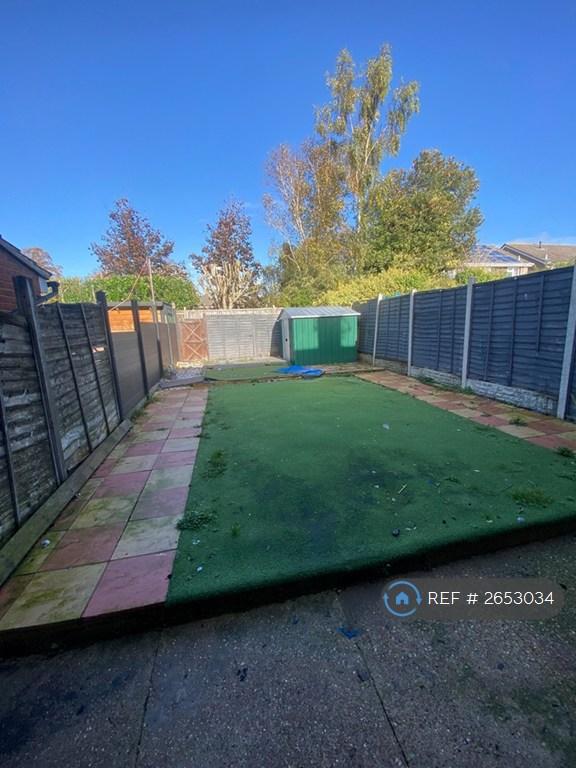 Back Garden