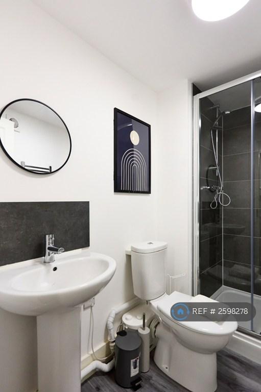 Bathroom Basement