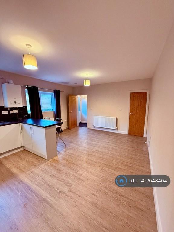 Lounge / Kitchen / Diner