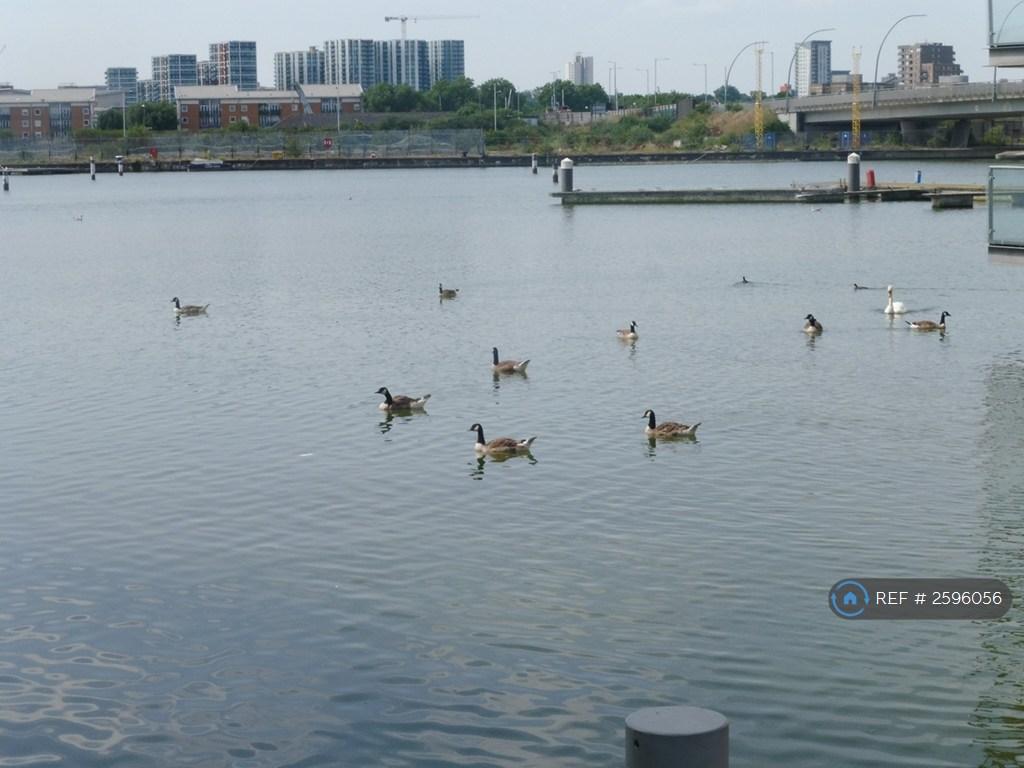 Picturesque Waterside Walks