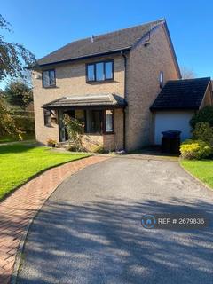 4 bedroom detached house to rent, Gold Crest, Guisborough, TS14
