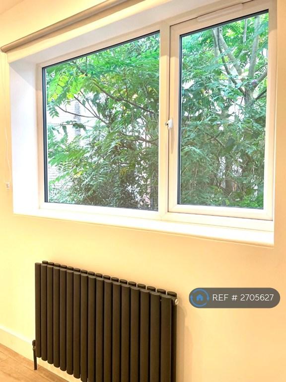 Back Bedroom