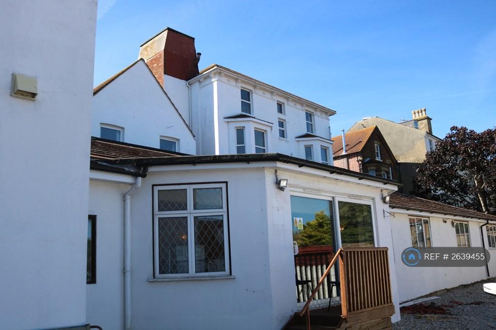 Back Of The House