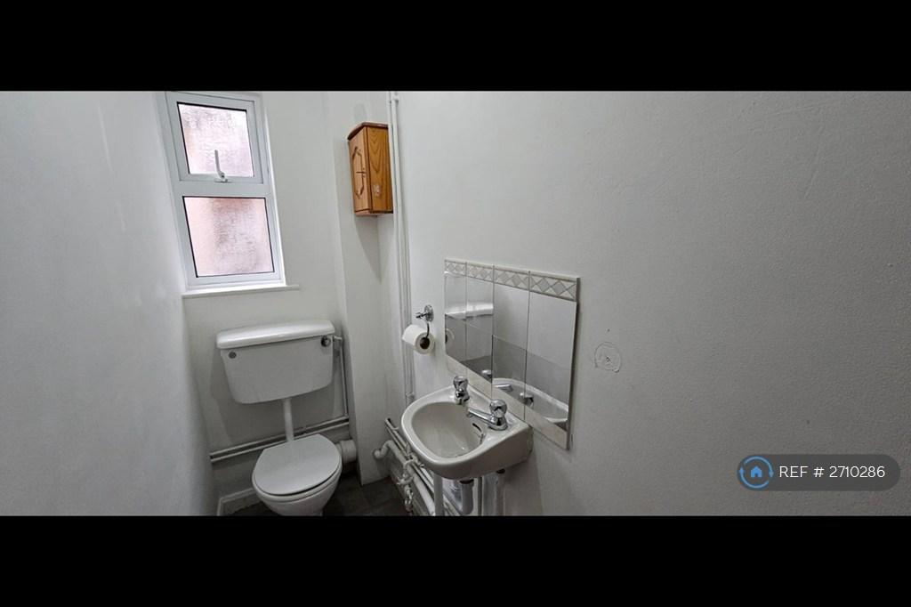 Toilet Downstairs