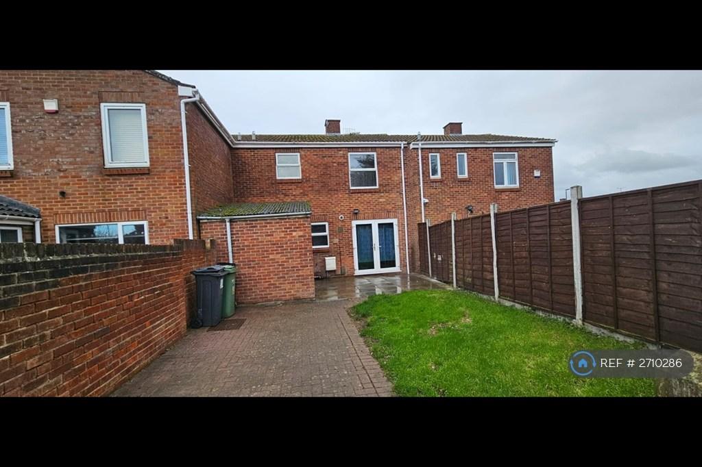 Back Garden
